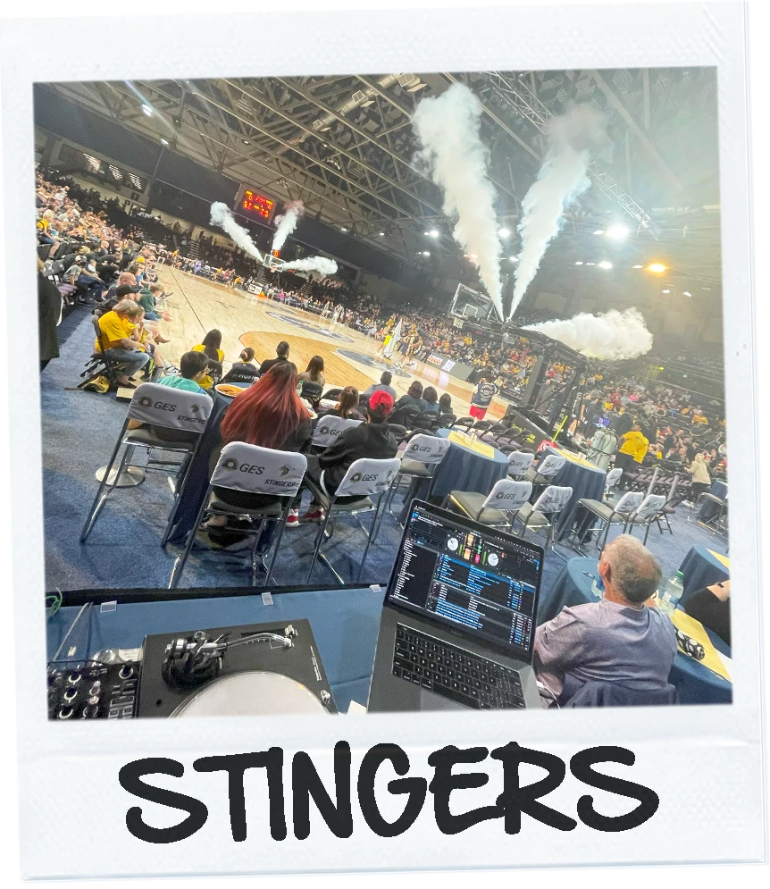 Edmonton Stingers